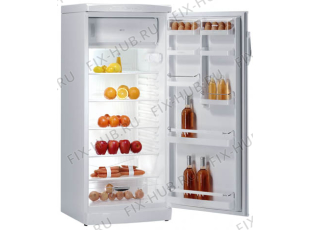 Холодильник Gorenje RB6283W (695792, HTS2866) - Фото